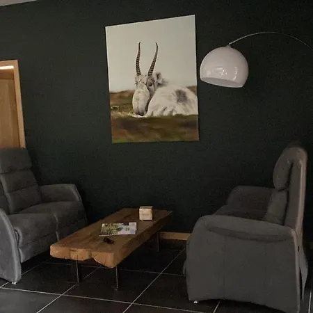 Maison Dumas بيت ضيافة Lupiac